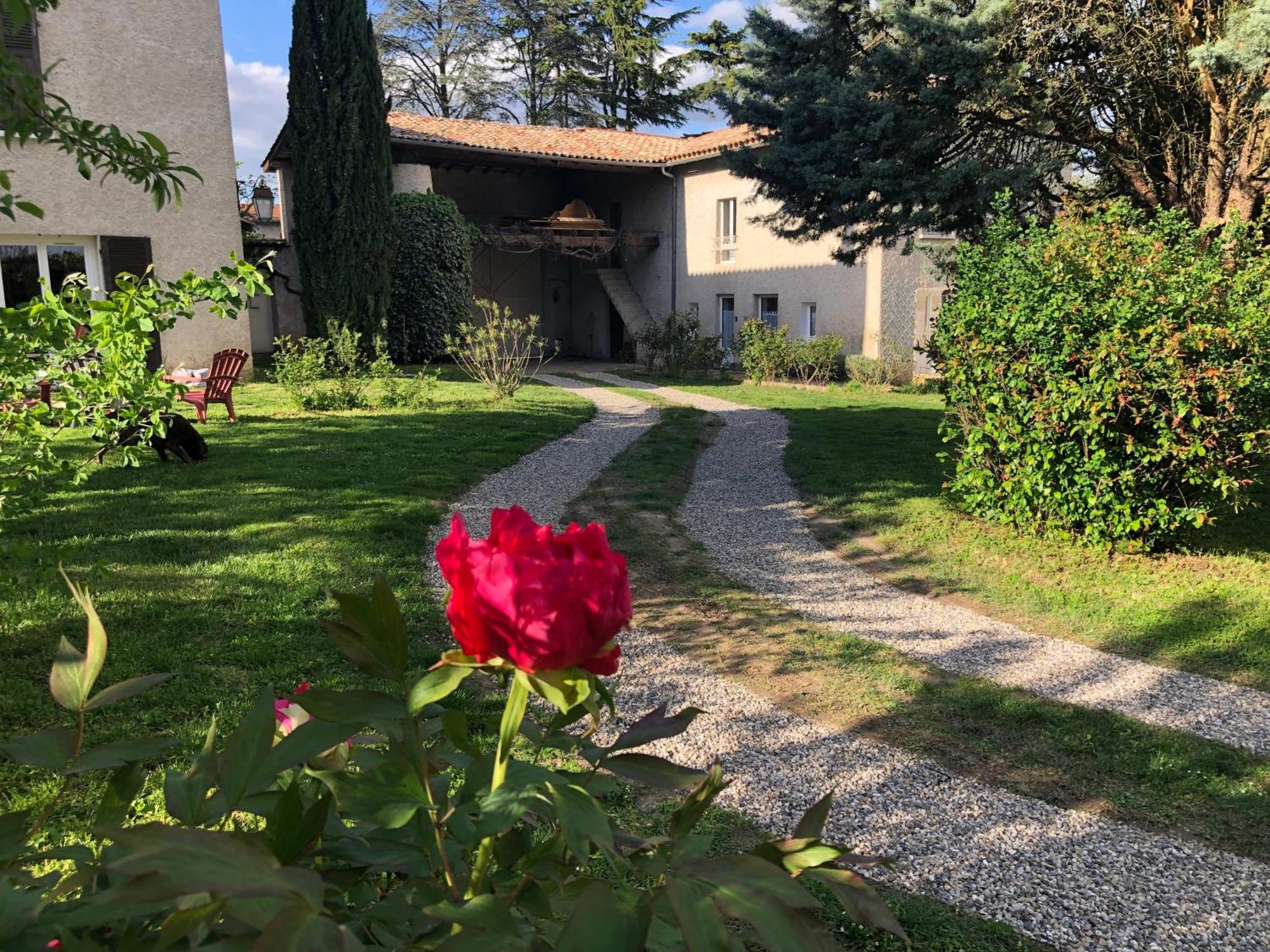 Apartamento Les Loges De Bacchus L'Epicurieux Chonas-lʼAmballan Exterior foto